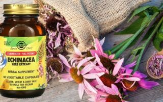 Обзор добавки на основе экстракта эхинацеи (Echinacea Herb Extract) от компании Solgar: инструкция, состав