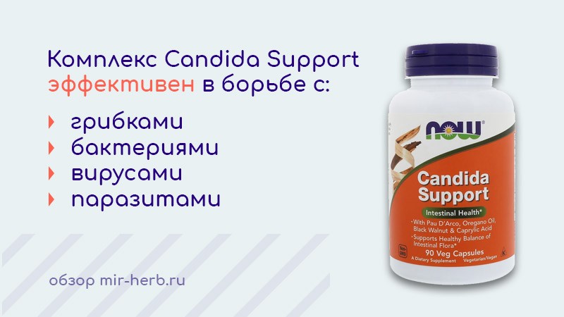 Комплекс Candida Support от компании Now Foods. Как добавка помогает бороться с кандидозом? Подробная инструкция и описание состава