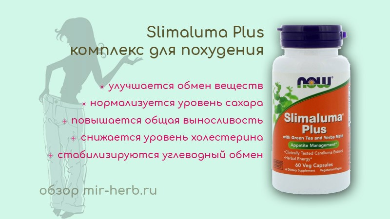 Эффективный комплекс для похудения Slimaluma Plus от компании Now Foods: воздействие на организм, детальное описание состава и инструкция. Где купить дешевле?