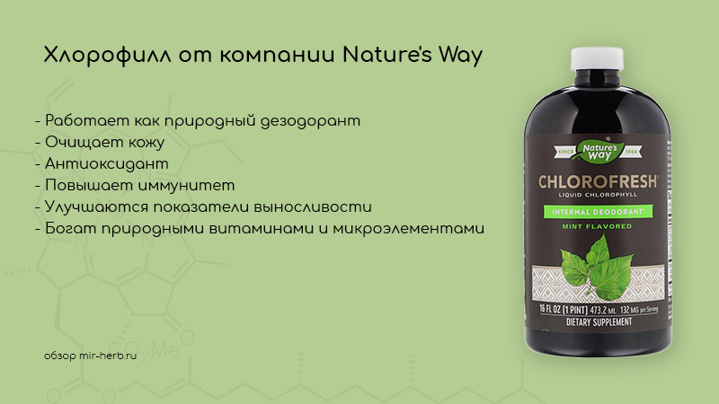 Описание хлорофилла (Chlorofresh) от компании Nature’s Way